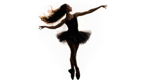 dance silhouette,silhouette dancer,ballet tutu,ballroom dance silhouette,ballerina girl,ballet dancer,terpsichore,danseuse,dancer,harmonix,dance,pointes,twirler,ballerina,girl ballet,balletic,balletto,ballet,twirling,love dance,Conceptual Art,Oil color,Oil Color 02