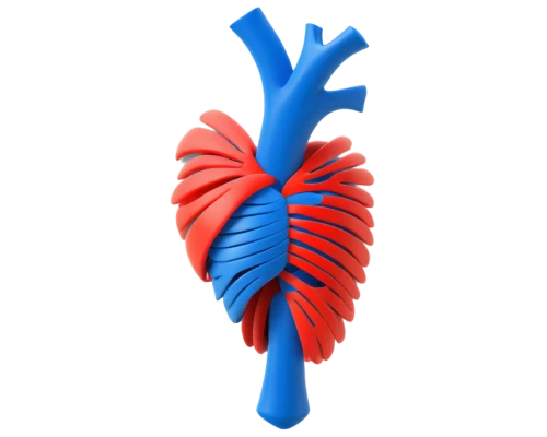 microcirculation,mediastinal,atrioventricular,cardiovascular,ventricle,pericardial,human cardiovascular system,cardiomyopathy,heart background,atrial,coronary vascular,human heart,cardiothoracic,aorta,coronary artery,heart care,heart clipart,cardiorespiratory,cardioverter,paraventricular,Art,Artistic Painting,Artistic Painting 08