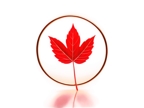 maple leaf red,red maple leaf,leaf background,red leaf,spring leaf background,leaf icons,maple foliage,maple leave,fan leaf,momiji,maple leaves,root chakra,lotus png,yellow maple leaf,light red,lotus leaf,raspberry leaf,growth icon,maple bush,golden leaf,Illustration,Japanese style,Japanese Style 16