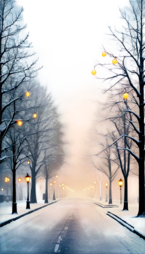 winter background,christmas snowy background,winter night,winter landscape,snow scene,snow landscape,winterland,christmas landscape,snowy landscape,night snow,winter dream,snowflake background,street lamps,winters,street lights,christmasbackground,streetlamps,snowfalls,wintry,winter magic,Illustration,Vector,Vector 20