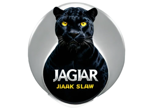 jag,jaggar,jaguar,jagga,jaguars,jags,jagr,jagirs,jagow,jaguares,jagirdar,jagir,jarak,jagla,jaak,jagd,sjaak,jagna,jagua,jaara,Photography,Fashion Photography,Fashion Photography 20