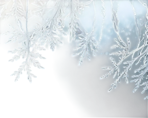 snowflake background,christmas snowy background,winter background,hoarfrost,frostiness,ice crystal,snow trees,christmas snowflake banner,snow crystals,frost,christmasbackground,snow tree,deepfreeze,blue snowflake,dendrites,frosted glass,dendrite,ice rain,snowy tree,frostings,Illustration,Realistic Fantasy,Realistic Fantasy 42