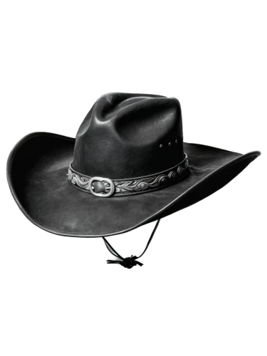 akubra,black hat,stetson,men's hat,witch's hat icon,men hat,leather hat,pardner,homburg,gold foil men's hat,stovepipe hat,darkwing,trilby,hedeman,the hat-female,the hat of the woman,women's hat,brown hat,ladies hat,hat retro,Illustration,Realistic Fantasy,Realistic Fantasy 02