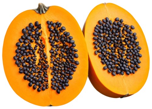 papayas,papaya,calabaza,mucuna,muglia,alvorada,striped pumpkins,pumkins,seeds,muskmelon,java beans,persimmons,wall,orang,calabazas,lectins,coffee seeds,maturino,flavonoids,coffee fruits,Conceptual Art,Sci-Fi,Sci-Fi 18