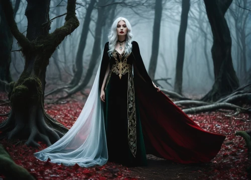 gothic woman,sorceress,morgause,sorceresses,thranduil,dhampir,mirkwood,magick,the enchantress,priestess,hecate,crone,vampire woman,wiccan,vampire lady,sorcerous,druidry,red riding hood,melisandre,fantasy picture,Illustration,Abstract Fantasy,Abstract Fantasy 07
