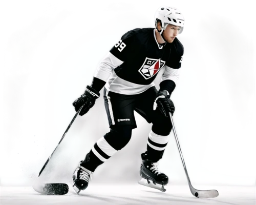 kopitar,doughty,gaborik,ehrhoff,hemsky,voynov,griess,clokey,geoffrion,malkin,toffoli,toews,jarome,lucic,souray,hagelin,oleskey,carbonneau,winnik,nhler,Art,Artistic Painting,Artistic Painting 46