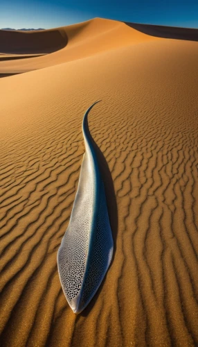 namib desert,namib,crescent dunes,namibia,dead vlei,admer dune,libyan desert,gobi desert,namibia nad,dune landscape,argentina desert,namib rand,shifting dunes,deserto,capture desert,sand dunes,spinning top,sahara,desert desert landscape,merzouga,Illustration,Realistic Fantasy,Realistic Fantasy 36