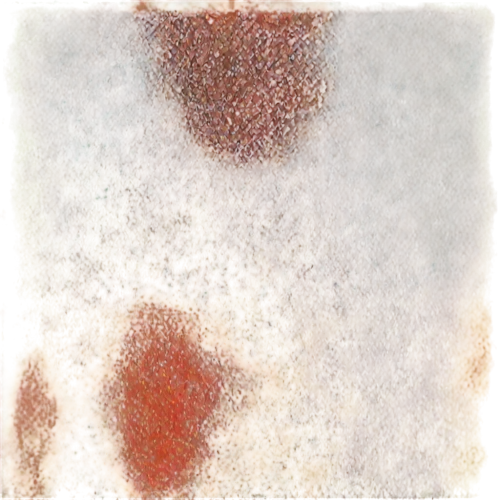 watercolour texture,corten steel,rusty door,monotype,oxidation,color texture,copper frame,multispectral,felted and stitched,chameleon abstract,watercolor texture,oil stain,finch in liquid amber,abstract backgrounds,oxidising,calotype,ambrotype,metal rust,isolated product image,photopigment,Illustration,Japanese style,Japanese Style 12