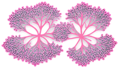 flowers png,chrysanthemum background,pink chrysanthemum,soft coral,neon valentine hearts,thylakoids,spirochetes,pink chrysanthemums,soft corals,heart pink,qin leaf coral,fractal art,flower design,lobules,heart background,chemoreceptors,twin flowers,heart clipart,sea anemone,pink floral background,Illustration,Black and White,Black and White 21