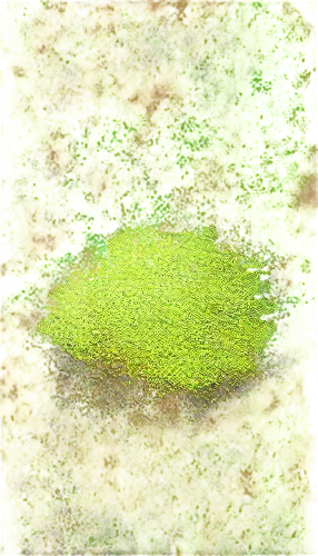 duckweed,water lily leaf,chameleon abstract,pool water surface,bladderwort,puccinia,azolla,veil yellow green,watercolour texture,ostracod,cyanobacteria,water surface,leaf macro,glitter leaf,xanthomonas,chlorophyta,alligatorweed flea beetle,leafminer,flatfish,tetrahymena,Art,Classical Oil Painting,Classical Oil Painting 13