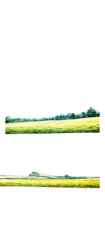 gras,long grass,grass blades,green fields,blades of grass,green landscape,row of trees,grass,fenceposts,green trees,green grass,grassland,blade of grass,moss landscape,green meadow,aaaa,green border,reedbeds,grasslike,grasslands,Photography,Fashion Photography,Fashion Photography 24