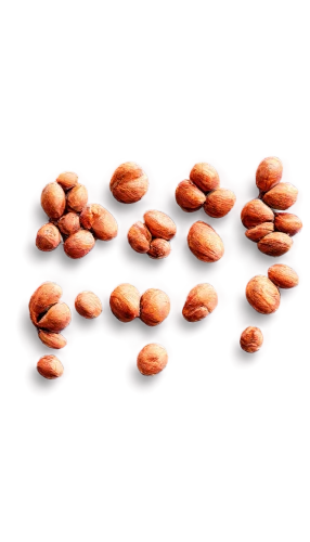 almonds,almond nuts,cocoa beans,unshelled almonds,pine nuts,seeds,microkernels,walnuts,kernels,isolated product image,coffee beans,almond,pralines,hazelnuts,roasted almonds,java beans,pecans,legumes,coffee seeds,peanuts,Art,Classical Oil Painting,Classical Oil Painting 08