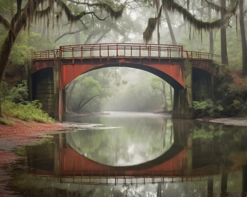 bridge arch,bayou,hanging bridge,congaree,alachua,waccamaw,micanopy,hangman's bridge,scenic bridge,south carolina,wakulla,alligator alley,ochlockonee,rainbow bridge,old bridge,altamaha,adventure bridge,ogeechee,wooden bridge,brookgreen gardens,Illustration,Japanese style,Japanese Style 06