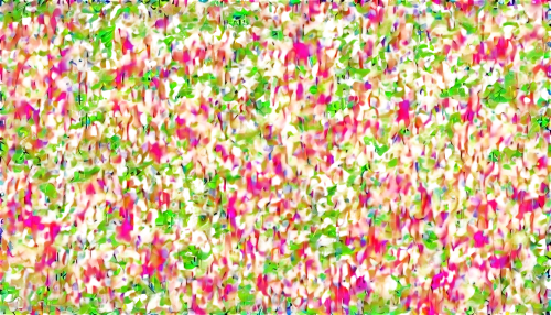 kngwarreye,crayon background,flowers png,flower field,impressionist,field of flowers,blooming field,tulip field,blanket of flowers,sea of flowers,flowers field,tulip fields,hyperstimulation,flower meadow,flowerdew,degenerative,impressionistic,floral digital background,rainbow pencil background,efflorescence,Illustration,Vector,Vector 15