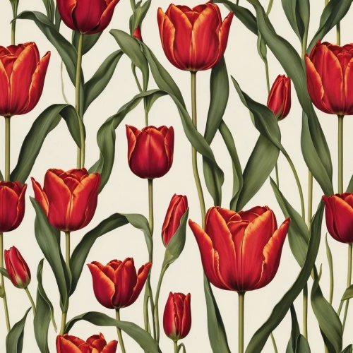 tulip background,tulips,red tulips,floral digital background,tulip flowers,two tulips,flowers png,tulip branches,floral background,orange tulips,wild tulips,tulip festival,tulip blossom,tulip field,tulip,tulipa,flower background,tulip bouquet,tulp,tulip fields,Illustration,Realistic Fantasy,Realistic Fantasy 09