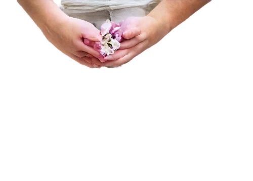 flower background,girl picking flowers,girl in flowers,transparent image,transparent background,floral mockup,picking flowers,petal,flowers png,holding flowers,butterfly background,floral background,png transparent,hand digital painting,bookmark with flowers,small hand,paper flower background,flowerdew,child's hand,little flower,Photography,Documentary Photography,Documentary Photography 22