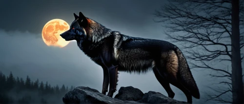 howling wolf,blackwolf,wolfsangel,werewolve,wolfen,constellation wolf,werewolves,lycanthrope,black shepherd,lycanthropy,wolfgramm,aleu,hellhound,european wolf,lycanthropes,fenrir,wolfdog,canis lupus,wolffian,howl,Illustration,Realistic Fantasy,Realistic Fantasy 05