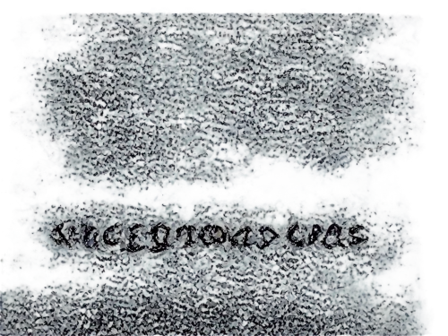 bloodgood,microgroove,nanosecond,donwood,microcode,picosecond,microsecond,decodes,bloodworms,miscounted,discordian,werowocomoco,microseconds,abscond,undissolved,unreadable,goodspeed,woodworm,unbounded,codewords,Illustration,Black and White,Black and White 08