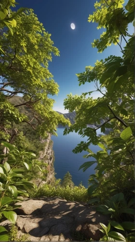 moon and foliage,cryengine,shaders,cliffside,calydonian,shader,enb,sansar,appalachia,elven forest,terraforming,tanoa,mountain world,cliffsides,moon and star background,aaaa,fractal environment,mountain pasture,verdant,kashyyyk,Photography,General,Realistic