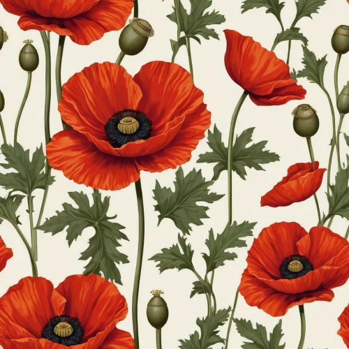 poppy flowers,floral digital background,floral poppy,poppies,red poppies,floral background,flowers png,flower background,japanese floral background,flower wallpaper,a couple of poppy flowers,paper flower background,red poppy,poppy fields,poppy field,chrysanthemum background,tulip background,orange poppy,red anemones,mohn,Illustration,Realistic Fantasy,Realistic Fantasy 09