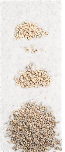 grain harvest,rice seeds,gravel,balanced pebbles,gravel stones,birdseed,sunflower seeds,seeds,aggregations,grains,background with stones,cereal cultivation,sanderlings,coffee seeds,field of cereals,flying seeds,seed stand,sprouted seeds,seed wheat,jagang,Illustration,Children,Children 04