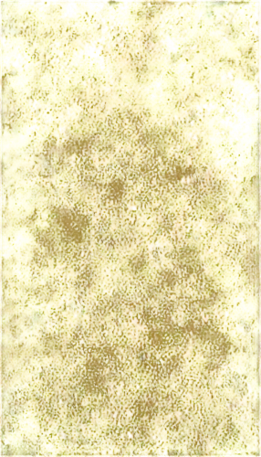 sunflower lace background,yellow wallpaper,forsythia,flowers png,sargassum,kngwarreye,dandelion background,seamless texture,xanthophylls,wattle,chrysanthemum background,yellow rose background,yellow petals,sunflower paper,solidago,pollen,yellow mustard,flower fabric,floral digital background,spring leaf background,Illustration,Realistic Fantasy,Realistic Fantasy 20