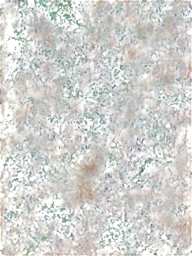 seamless texture,generated,shrub,sphagnum,marpat,groundcover,groundcovers,terrazzo,degenerative,ornamental shrub,liverwort,saltbush,floral digital background,background ivy,ground cover,decorative bush,generative,impressionist,postimpressionist,stereogram,Photography,Documentary Photography,Documentary Photography 06