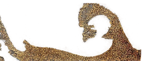 mamaea,venules,dentata,polyplacophoran,metacarpal,puccinia,baby footprint,metacarpals,amphidromus,female hand,protozoal,mandibular,dentatus,leopardus,vulpeculae,dendropsophus,human hand,premaxilla,regiomontanus,tiger png,Art,Artistic Painting,Artistic Painting 09