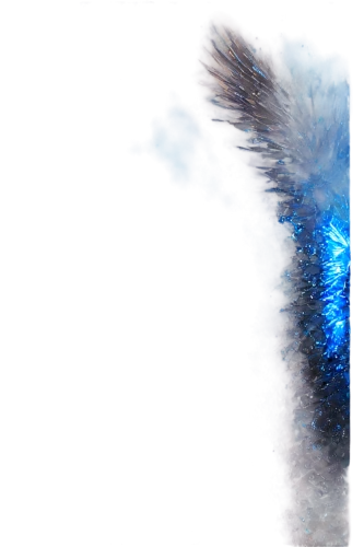 protostar,peacock feather,blue peacock,lanternfish,particle,underwater background,macula,crystallization,crystalize,ice crystals,crystallizes,blue fish,fireworks background,crystalized,crystallize,jetfoil,peacock feathers,volumetric,hydroids,bluefire,Photography,Artistic Photography,Artistic Photography 06