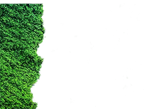 landcover,green wallpaper,green trees with water,background ivy,green border,green background,green trees,green forest,landsat,kudzu,verdant,photogrammetric,srtm,greenscreen,green landscape,emerald sea,chlorophyll,hedge,terraformed,green waterfall,Illustration,Japanese style,Japanese Style 05