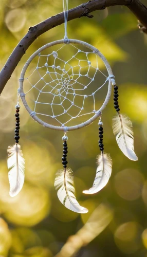 suspended leaf,dream catcher,lantern string,morning dew in the cobweb,dreamcatcher,spider silk,wind chime,spider web,spider net,wind chimes,cobwebbed,glass ornament,seedpods,spider's web,glass wing butterfly,glass yard ornament,cobweb,spiderweb,autumn jewels,spiderwebs,Illustration,Children,Children 02