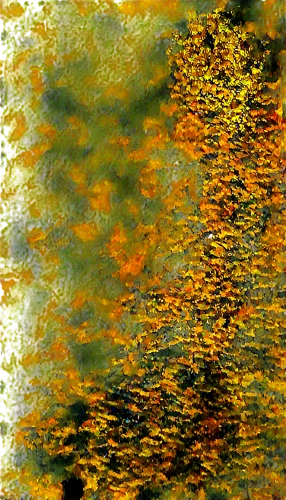 birds abstract,finch in liquid amber,xanthophylls,autumn pattern,yellow leaves,gold leaves,gold filigree,gold paint strokes,monarch butterfly,leaves in the autumn,watermilfoil,water lilies,butterfly swimming,butterfly pattern,waterlilies,orange butterfly,golden october,birds gold,leaves frame,yellow leaf,Illustration,Vector,Vector 15