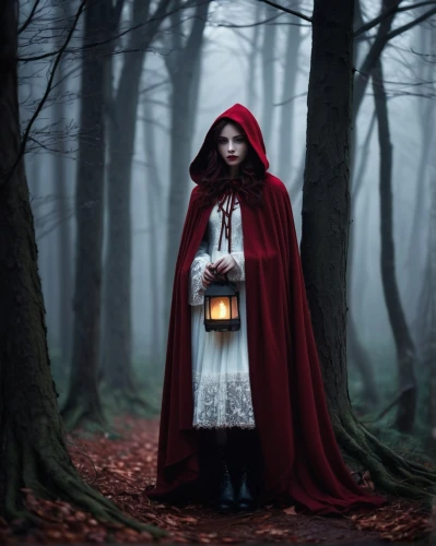 red riding hood,little red riding hood,red coat,woolfe,witchfinder,redcoat,conjurer,magick,melisandre,red cape,the witch,wiccan,fortuneteller,handmaid,red lantern,druidry,sorceresses,darkling,covens,sorcerer,Illustration,Black and White,Black and White 10
