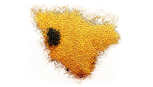 maize,cartoon corn,corn,calendula,mutator,veuve,macaroni,playcorn,pollinate,naddaff,cobolli,jagang,stored sunflower,kernels,sunflowers in vase,hesperange,yellow orange,chia,percolator,grated cheese,Photography,Artistic Photography,Artistic Photography 05