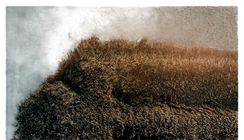 volcanism,dune landscape,krakatau,volcanic landscape,erosion,dune sea,uluru,saltmarsh,lava,heiau,kilauea,sea stack,cyclorama,sediment,krakatoa,topographer,dunes,rapa nui,tussocks,shifting dune,Photography,Documentary Photography,Documentary Photography 02