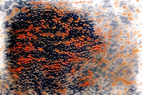 leopardskin,shagreen,pointillist,color texture,granite texture,tree texture,rusty door,rusty chain,checkerspot,marpat,orange dots,carpet,pointillistic,texture,pomace,carrot print,pointillism,encrusting,cytokeratin,rustication,Photography,Documentary Photography,Documentary Photography 18