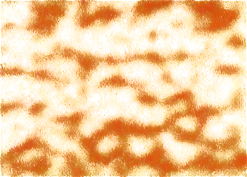 monolayer,kngwarreye,monolayers,petromatrix,seamless texture,fruit pattern,dichromate,topologist,wavelet,lava,bilayer,quasicrystal,candy corn pattern,copolymers,enterococci,aluminosilicate,background pattern,carrot pattern,acinar,marpat,Unique,Pixel,Pixel 05