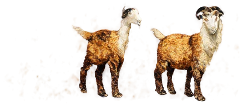 garridos,deerskins,sinosauropteryx,doglegs,limb males,quadrupeds,hindfeet,fractalius,otzi,latrans,three dogs,acheilognathus,coyotes,borzoi,dogana,vulpes vulpes,ceratopsians,horses,caballos,odocoileus,Art,Artistic Painting,Artistic Painting 09