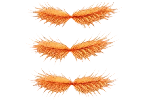 garridos,garrisons,garrisoned,carrot pattern,sunburst background,garrisoning,palm tree vector,garriott,wreath vector,garriga,tangerines,orange,orang,oranges,microtubules,softspikes,sliced tangerine fruits,uniphoenix,garrison,pieces of orange,Art,Classical Oil Painting,Classical Oil Painting 01