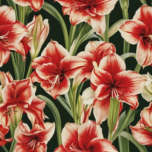 tulip background,flowers png,floral digital background,tulips,red tulips,floral background,tulip flowers,flower background,tulipa,flower wallpaper,japanese floral background,two tulips,orange tulips,tulipe,wild tulips,pink tulips,flowers pattern,tulip bouquet,tulip,retro flowers,Illustration,Realistic Fantasy,Realistic Fantasy 09