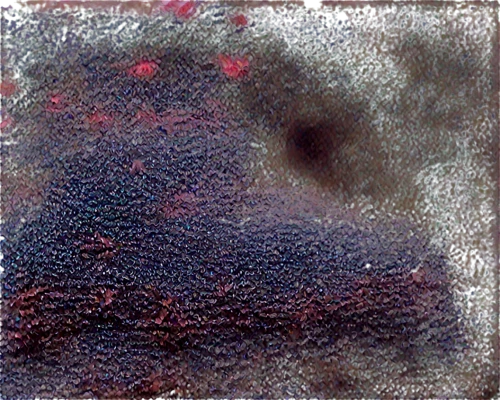 globules,azolla,crowberry,biofilm,nebulosity,pomace,biofouling,pigment,chondrules,schizonts,plum stone,brown dwarf,panspermia,generated,oospores,lichens,chaga,sediment,efflorescence,lichen,Illustration,Japanese style,Japanese Style 13