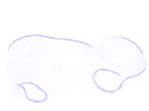 trypanosomes,ciliate,protozoans,platyhelminthes,protozoa,euglena,ciliates,nematocysts,trichuris,flagella,protozoan,hypostome,centrosome,rotifer,cytogenetic,spermatozoa,meiosis,trematode,parvulus,stomata,Conceptual Art,Fantasy,Fantasy 16