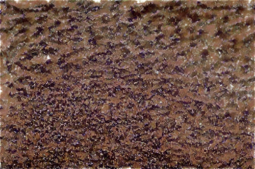 starlings,multituberculata,mumuration,swarm,swarms,swarm of bees,ant hill,stingless bees,bats,pointillist,multituberculates,multitude,seamless texture,pipiens,grackles,procellariids,starling,micrometeoroids,swarming,dowitchers,Illustration,Realistic Fantasy,Realistic Fantasy 34