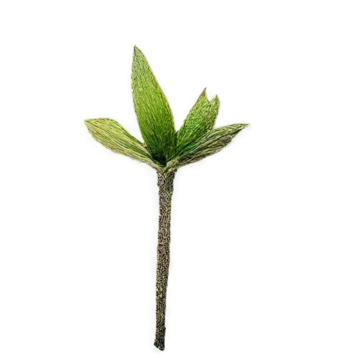 resprout,green leaf,seedling,bud break,young leaf,green energy,sapling,mint leaf,petiole,leaf bud,photosynthesis,photosynthetic,spring leaf background,custody leaf,arabidopsis,green plant,magnolia leaf,suspended leaf,resprouting,leaf branch,Illustration,Vector,Vector 08