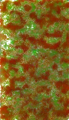 seamless texture,wavelet,wavelets,polarizations,multispectral,sphagnum,cyanobacteria,generated,hyperspectral,biofilm,mermaid scales background,dithered,stereograms,hydrographic,chameleon abstract,stereogram,wavefronts,cryptocrystalline,multiscale,marpat,Photography,General,Fantasy