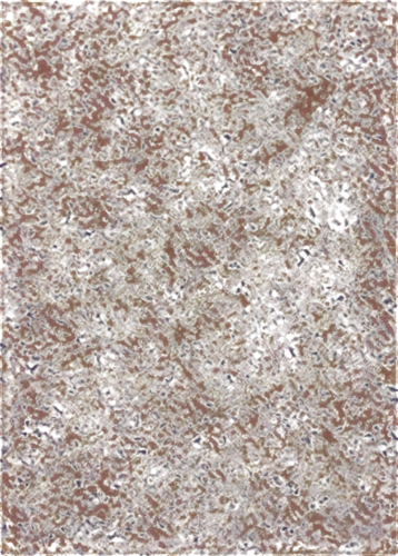 terrazzo,seamless texture,marpat,floor tile,kngwarreye,carpet,porphyry,granite texture,megamendung batik pattern,sebatik,paisley pattern,carpeted,batik,indian paisley pattern,ceramic floor tile,marbleized,hepatocytes,brown mold,background pattern,stone pattern,Conceptual Art,Daily,Daily 27