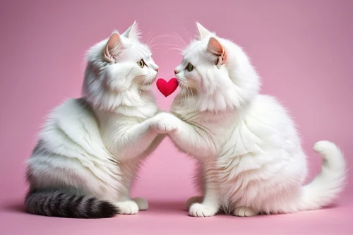 cat love,a heart for animals,puffy hearts,cat lovers,two hearts,love for animals,heart clipart,heart marshmallows,heart pink,hearts color pink,love heart,neon valentine hearts,colorful heart,heart shape,kisselgoff,couple in love,valentine's day hearts,love in air,lub,kissing,Conceptual Art,Daily,Daily 08
