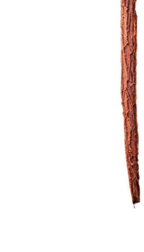 bolitoglossa,pastrami,pancetta,coffee background,sinosauropteryx,briskets,caddisfly,bacon,anthracnose,cherry twig,acleris,cinnamon stick,realgar,tree bark,stigmella,acrobasis,wood background,black forest ham,banner,biltong,Art,Artistic Painting,Artistic Painting 29