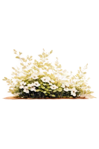 flowers png,night-blooming jasmine,flower background,bag of gypsophila,floral mockup,floral digital background,gypsophila,wood daisy background,flower basket,flower bowl,flowerbox,spring leaf background,ikebana,blooming wreath,decorative bush,moss saxifrage,flowers in basket,luminous garland,mossflower,sand jasmine,Conceptual Art,Daily,Daily 35