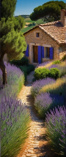 provence,lavender field,lavender fields,purple landscape,lavendar,provencal,tuscan,provencale,la violetta,provencal life,lavenders,home landscape,lavandula,lavender cultivation,agritubel,laventhol,lavander,toscana,the lavender flower,world digital painting,Illustration,American Style,American Style 12